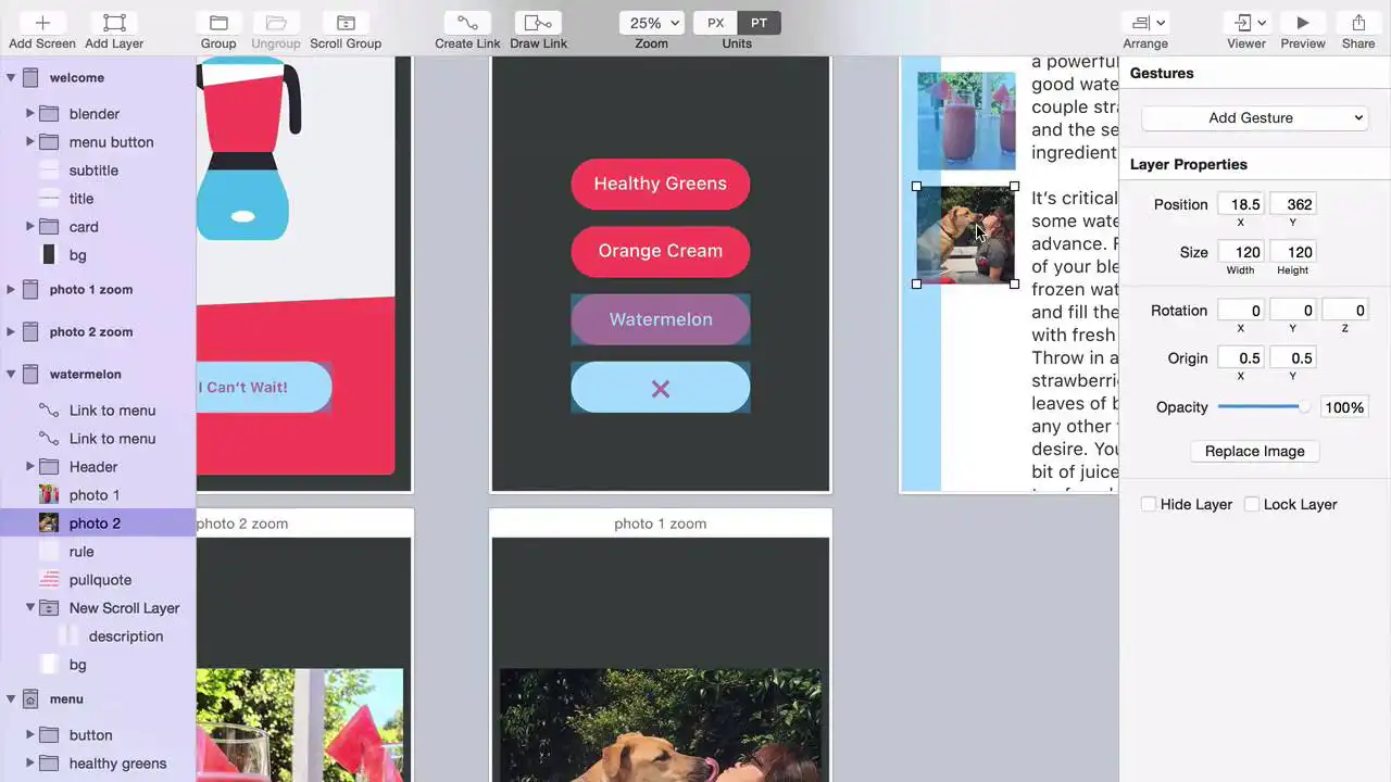 Flinto app design software screenshot